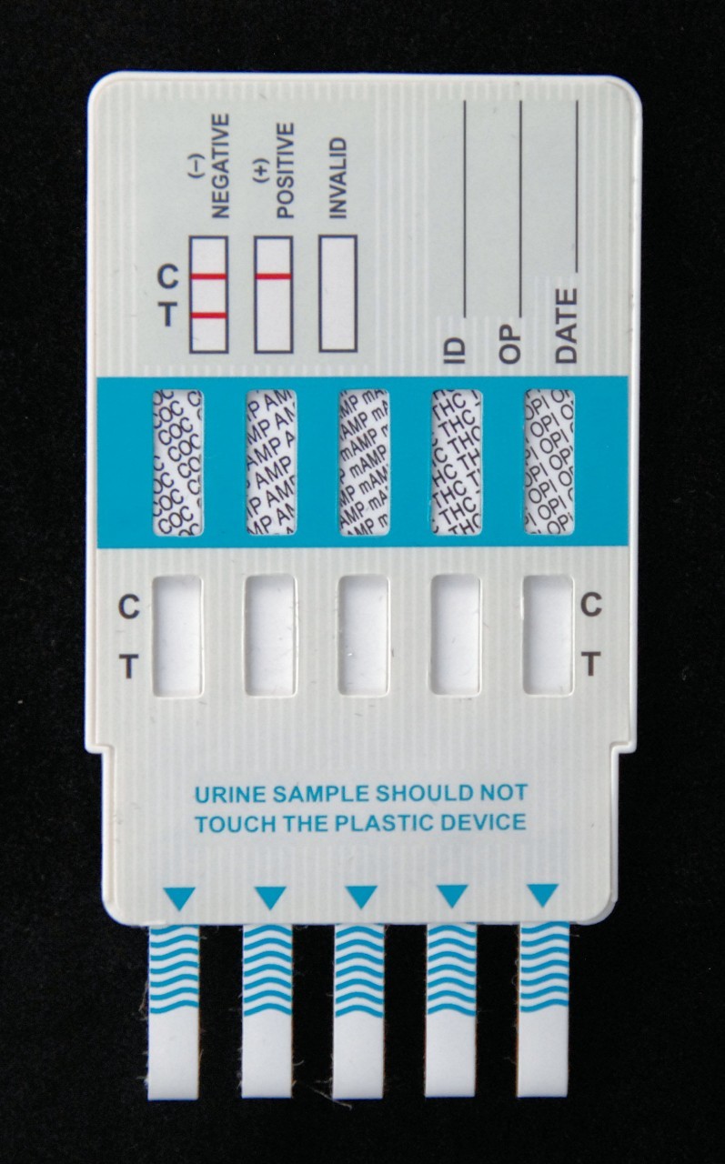 5 panel drug tests