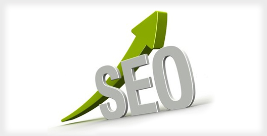 professional-seo-services1